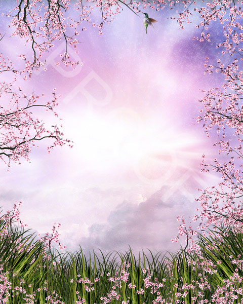 Fotolia_10234431_L