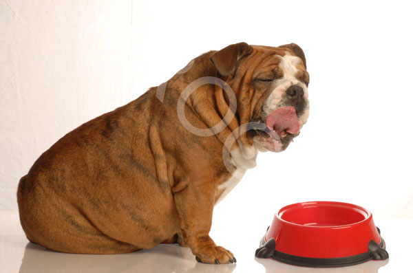 Fotolia_11311370_L