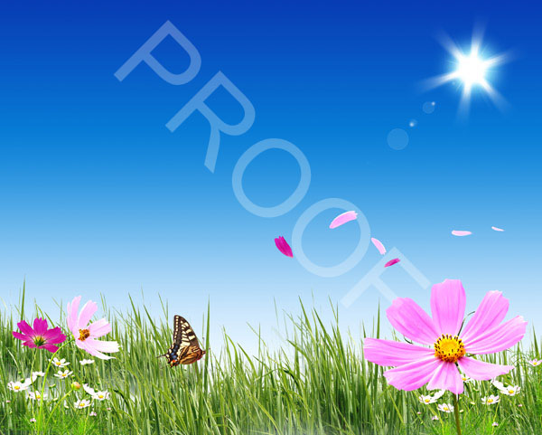 Fotolia_11469256_XXL