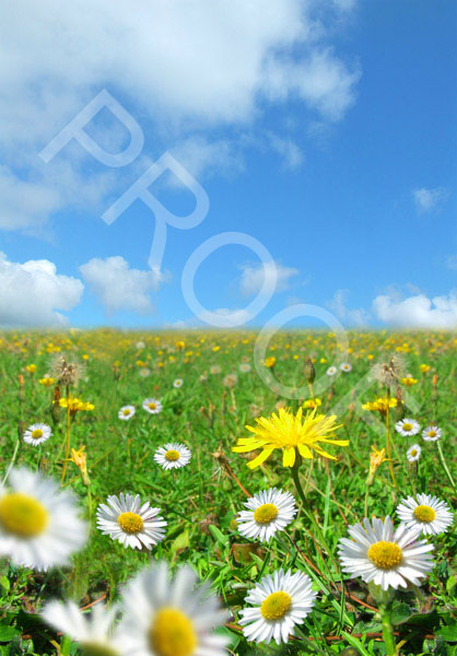 Fotolia_1189443_L