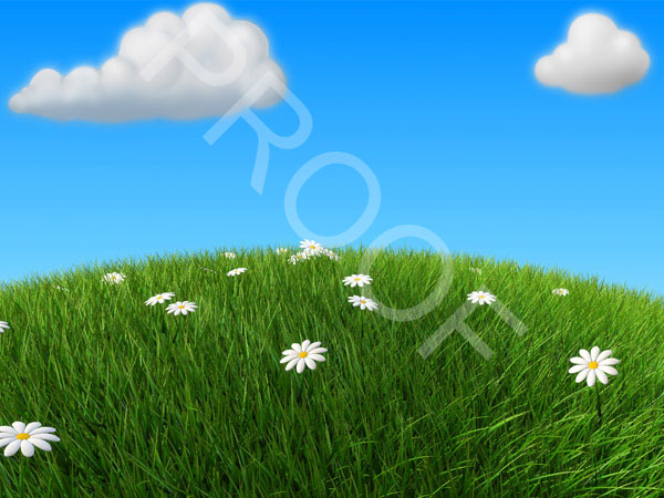 Fotolia_1627574_XL