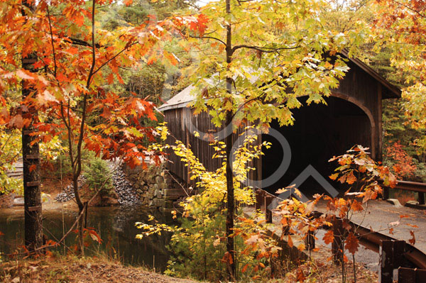 Fotolia_1659304_XL