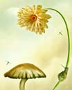 Fotolia_10147433_L