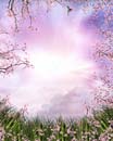 Fotolia_10234431_L