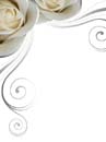 Fotolia_11227041_XL