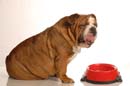 Fotolia_11311370_L