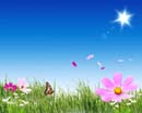 Fotolia_11469256_XXL