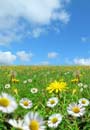 Fotolia_1189443_L