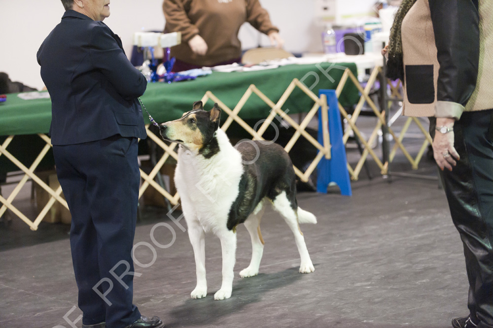 DSC_6788