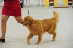 17_01_21_10-07-09