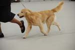 17_01_21_10-08-39