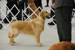 17_01_21_10-09-06