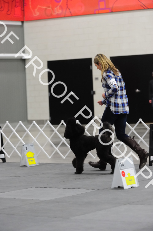 17-02-25_10-18-28_01